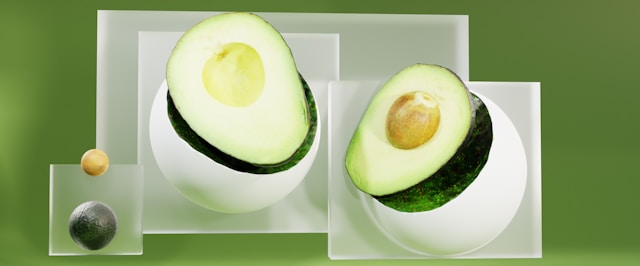 Galerie Solvardentia